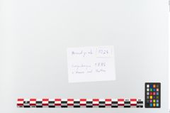 Etikett zu Eisenlanzenspitze (NHMW-PRAE-048328)
